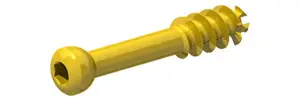 CanulatedScrew